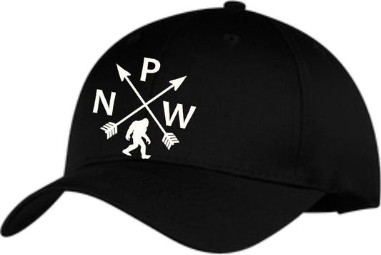 PNW Sasquatch Arrows Structured Cap