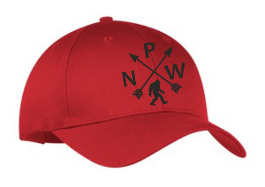 PNW Sasquatch Arrows Structrued Cap